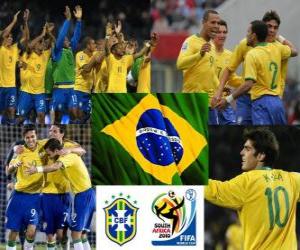 пазл Выбор Бразилии, группа G, Южная Африка 2010